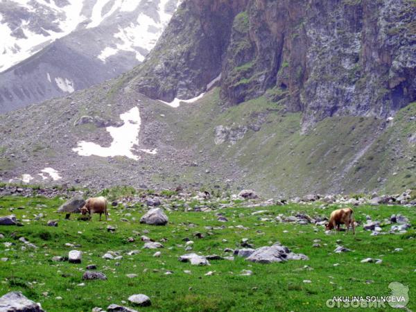 Долина Адыр-Су, подножие горы Уллу-Тау фото