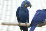 Зоопарк Bird and Animal Park (Кипр, Пафос) фото