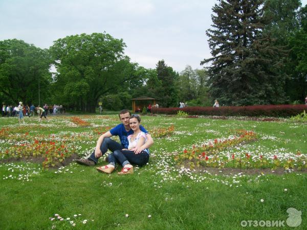 Ботанический сад (оранжерея тропических растений) (Белоруссия, Минск) фото