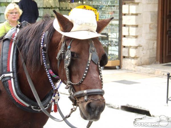 Город Ханья (Греция, о. Крит) фото