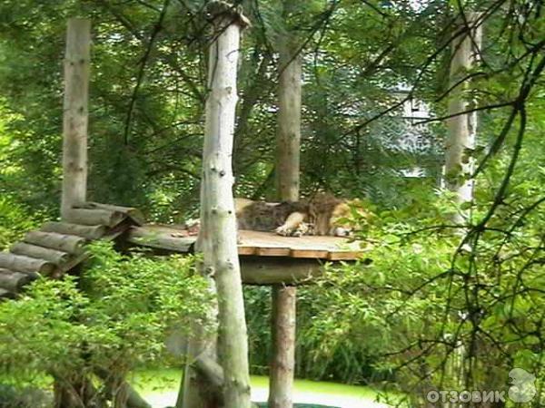 ZSL London Zoo / Лондонский зоопарк (Англия, Лондон) фото