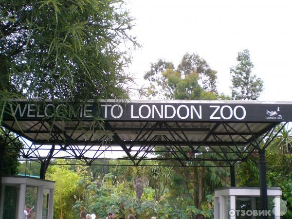 Зоопарк ZSL London Zoo (Англия, Лондон) фото