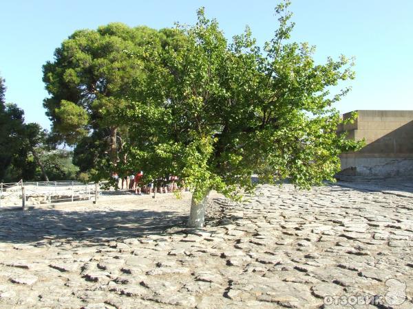 Остров Крит (Греция) фото
