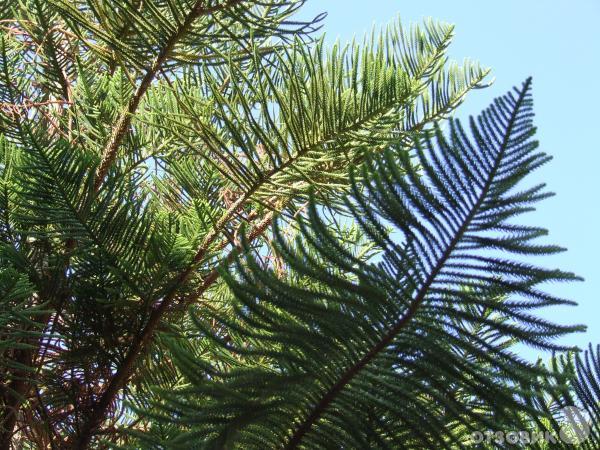 Остров Крит (Греция) фото