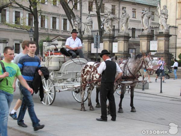 автобусный тур удачная идея на уикенд фото