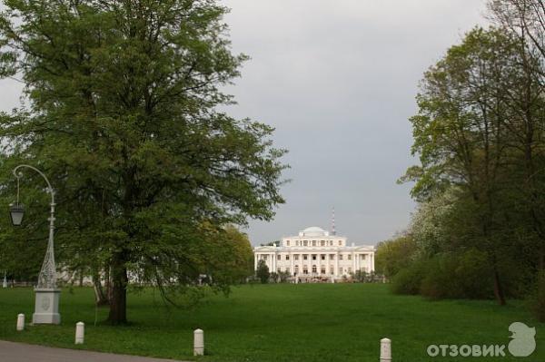 Ночь музеев в Санкт-Петербурге фото