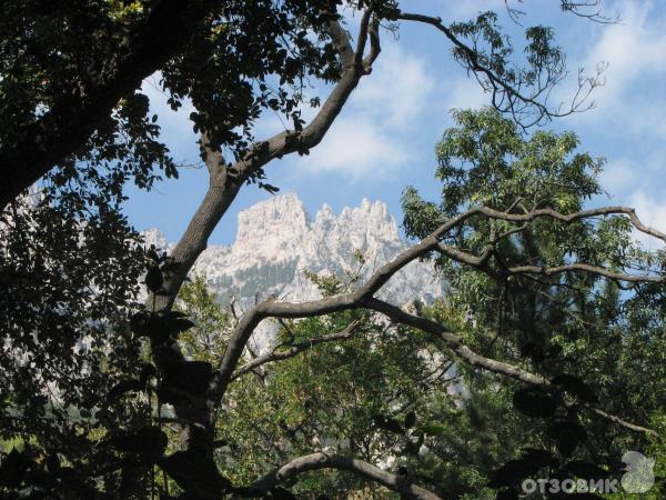 Экскурсия Южный берег Крыма (Украина, Крым) фото