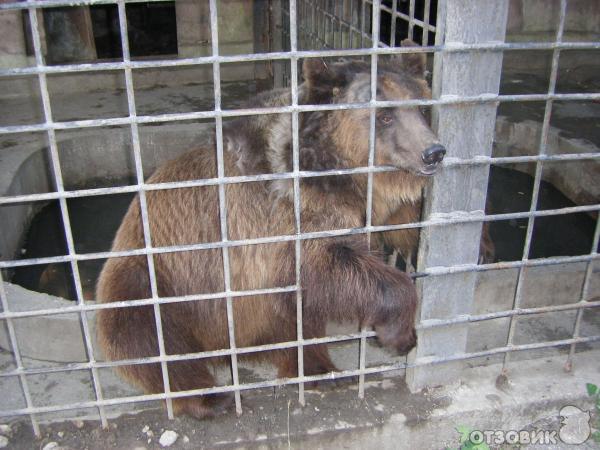 Детский парк аттракционов.