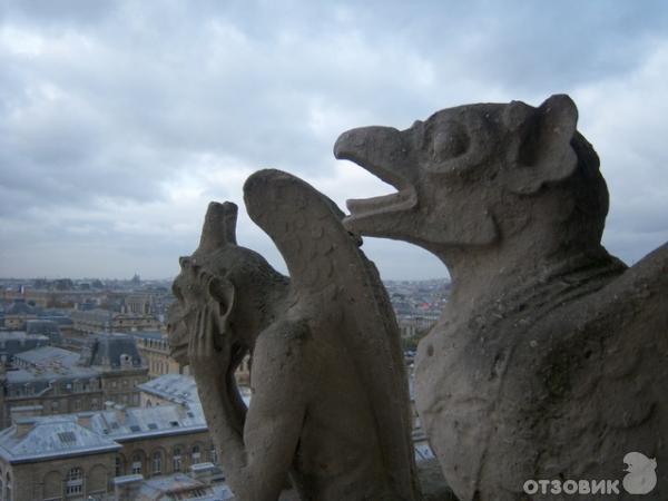 Собор Нотр-Дам (Франция, Нормандия, Руан) фото