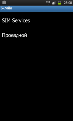 Услуга Билайн "Мобильный проездной" фото