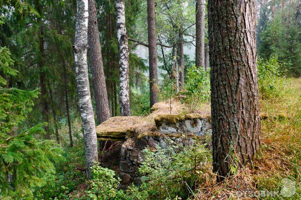 Усадьба Заключье (Россия, Тверская область) фото