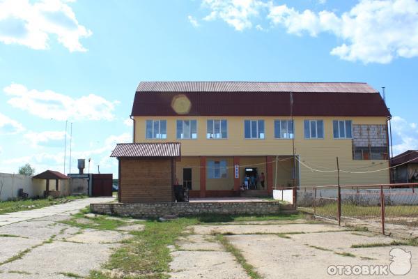 Страусиная ферма Русский страус (Россия, Московская область) фото