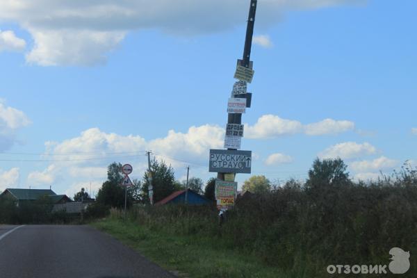 Страусиная ферма Русский страус (Россия, Московская область) фото