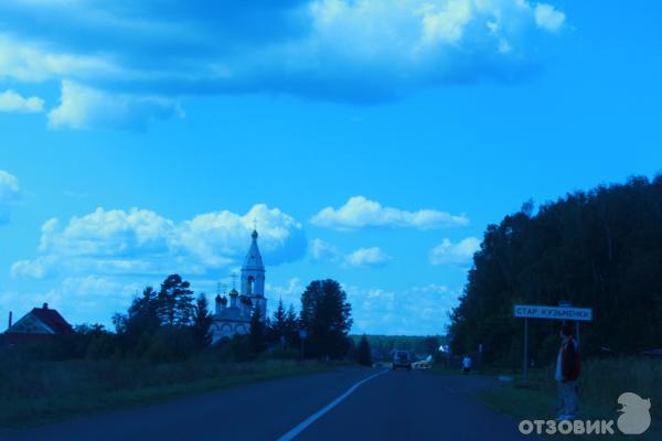 Страусиная ферма Русский страус (Россия, Московская область) фото