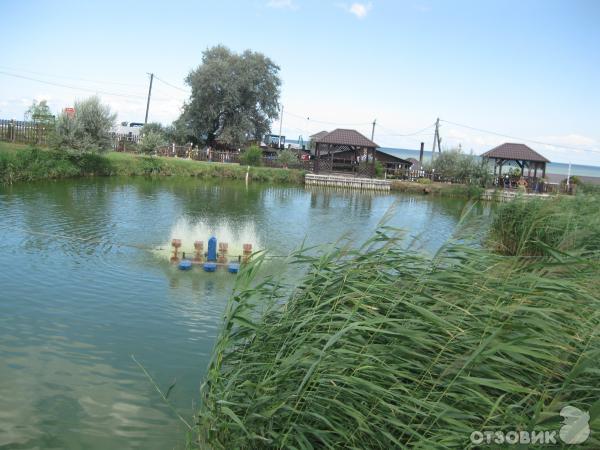 Экскурсия на Островок Здоровья (Россия, Темрюкский район) фото