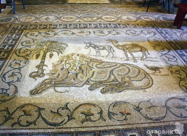 Экскурсия в монастырь святого Герасима Иорданского (Израиль) фото