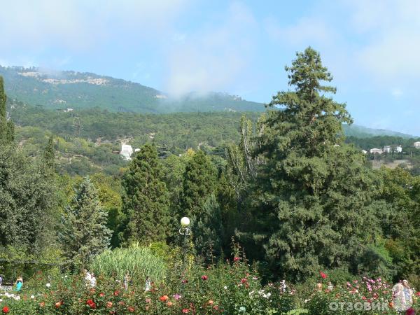 Никитский Ботанический сад (Украина, Крым) фото