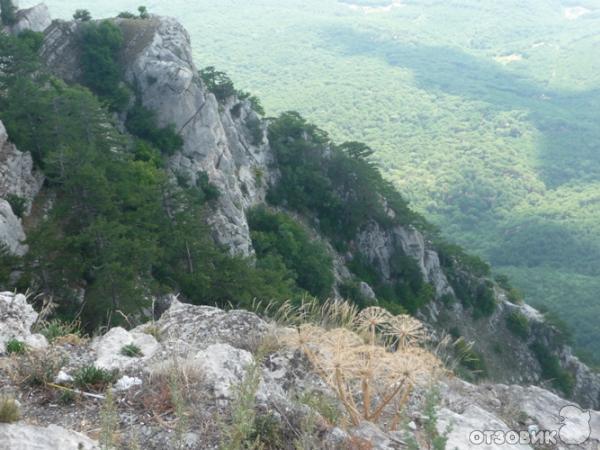 Экскурсия на гору Ай-Петри (Украина, Крым) фото