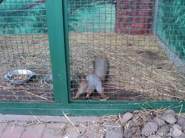 Самарский зоопарк (Россия, Самара) фото