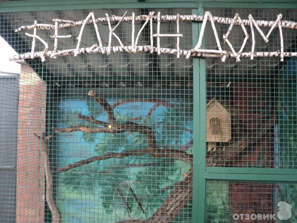 Самарский зоопарк (Россия, Самара) фото