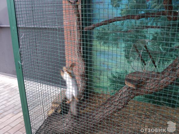 Самарский зоопарк (Россия, Самара) фото