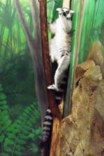 Океанариум Star&Mlad (Россия, Воронеж) фото