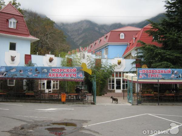 Морской аквариум на территории ялтинского зоопарка (Украина, Ялта) фото