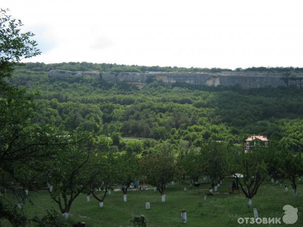 Ослиная ферма Чудо-ослик (Украина, Крым) фото