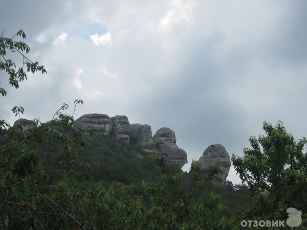 Ослиная ферма Чудо-ослик (Украина, Крым) фото