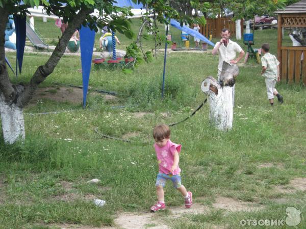 Ослиная ферма Чудо-ослик (Украина, Крым) фото