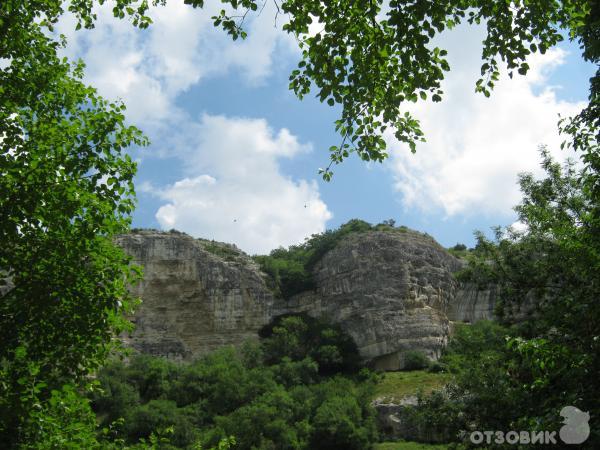 Ослиная ферма Чудо-ослик (Украина, Крым) фото