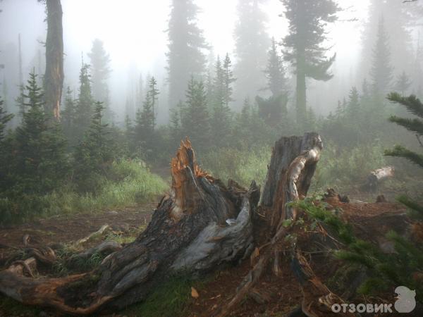 Природный заповедник Ергаки (Россия, Красноярский край) фото