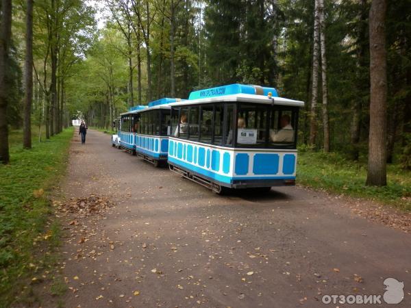 Павловский парк