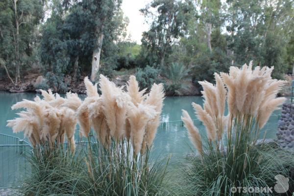 Крещение в реке Иордан (Израиль) фото