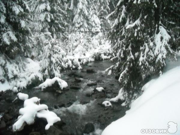 село пелипец межгорского района закарпатской области фото