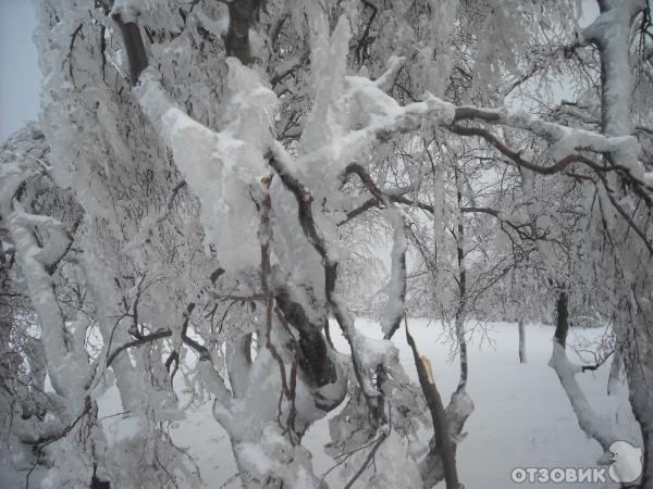 село пелипец межгорского района закарпатской области фото