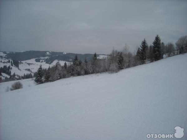 село пелипец межгорского района закарпатской области фото