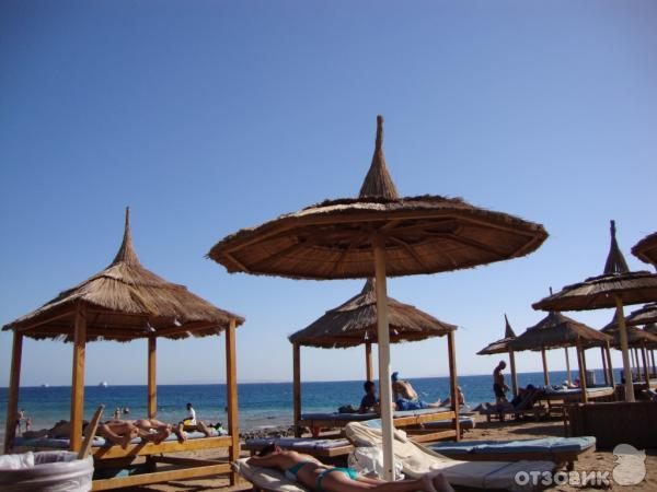 Отель Beach Albatros Garden 4* (Хургада) фото