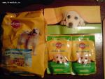 Собачий корм Pedigree Для щенков фото
