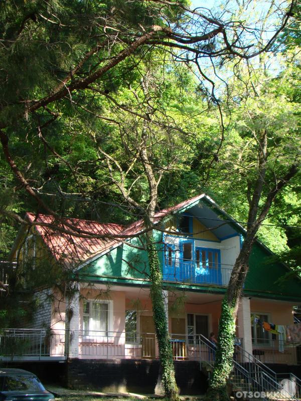 Бетта Краснодарский Край Фото 2025