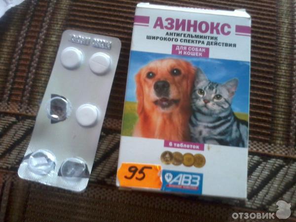 Таблетка от глистов для собак азинокс. Таблетки от глистов для собак азинокс плюс. таблетки от глистов для кошек azinox. таблетки от глистов азинокс для кошек. таблетки от глистов собакам названия.