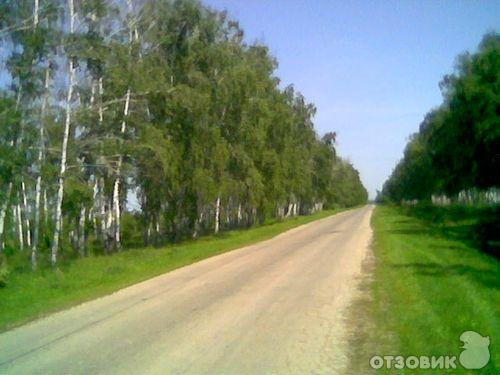 На велосипеде по Самарской Луке к Заволжским монастырям фото