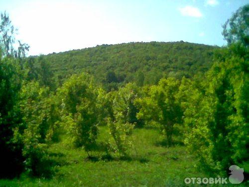 На велосипеде по Самарской Луке к Заволжским монастырям фото