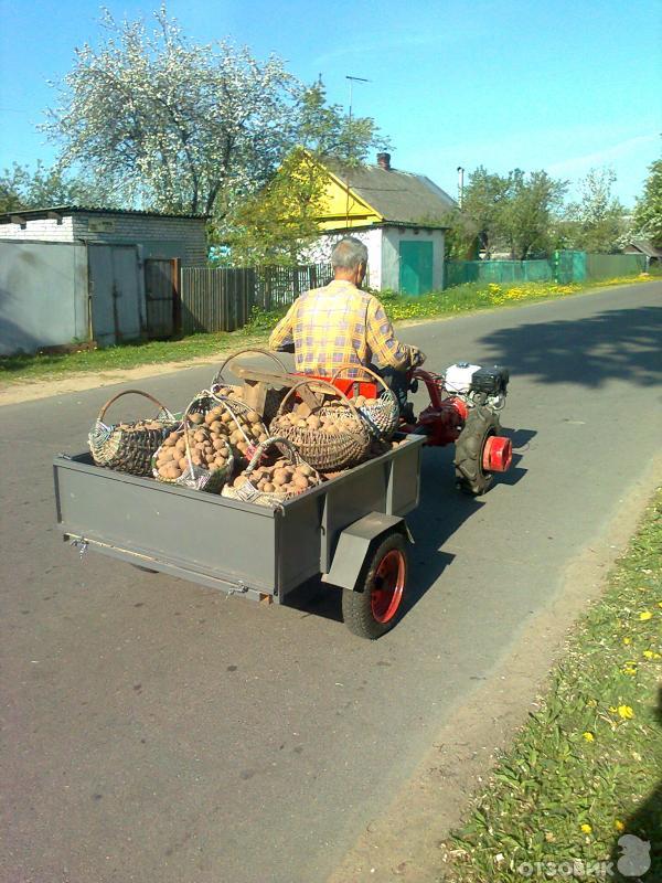 Прицеп Для Мотоблока Мтз Купить В Перми