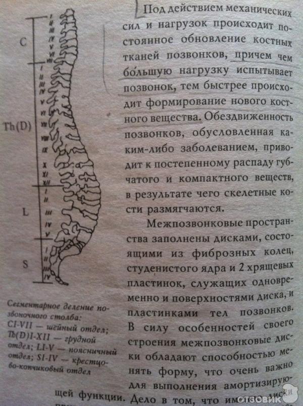 рисунок_цифры_текст2