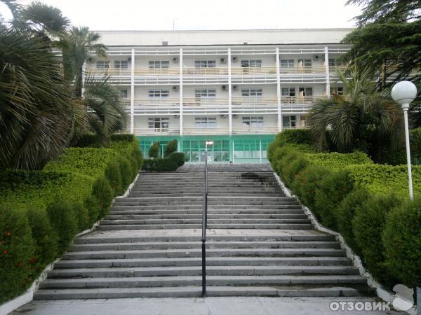 Сочи Фрунзе Фото