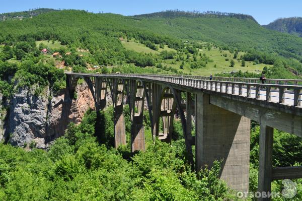 Мост Джурджевича над рекой Тара