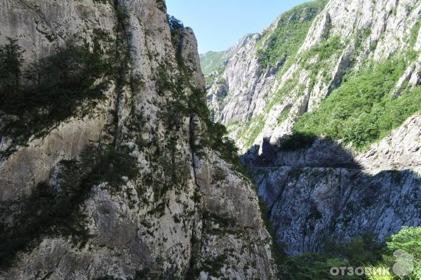 Дорога вдоль каньона в Черногории