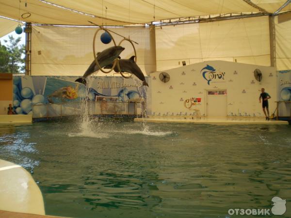 Дельфинарий Troy Aqua & Dolphinarium (Турция, Белек) фото