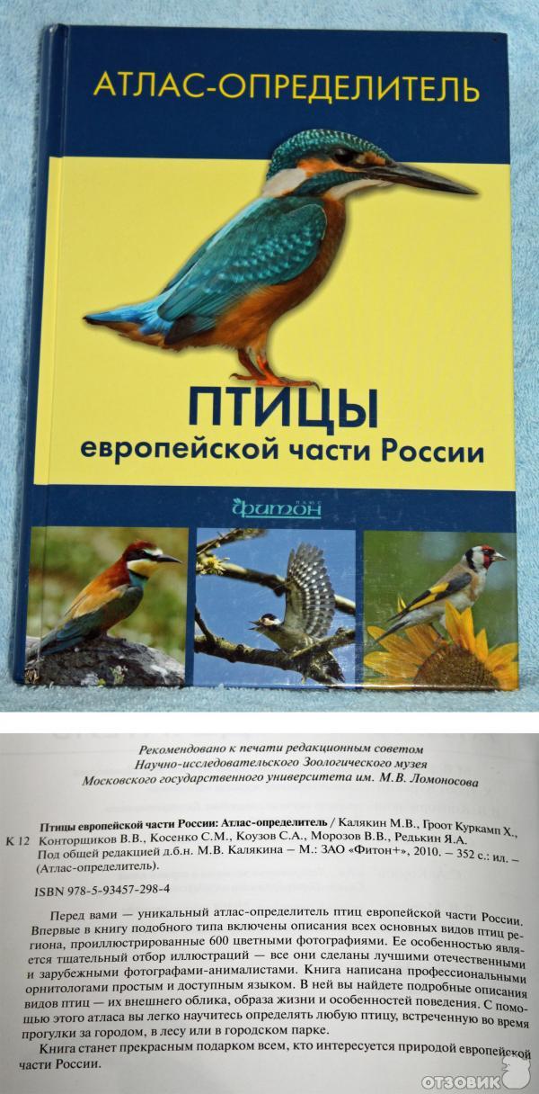 Птицы и их голоса (Птицы европейской части России и Урала)